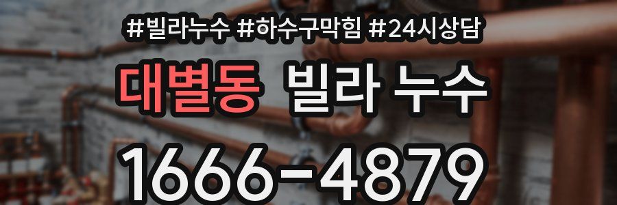 대별동 빌라 누수