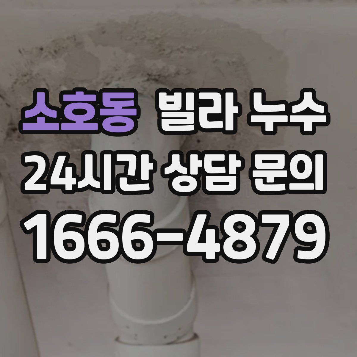 소호동 빌라 누수