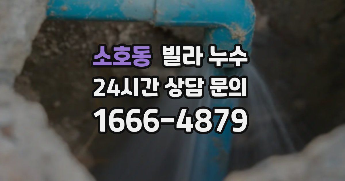 소호동 빌라 누수