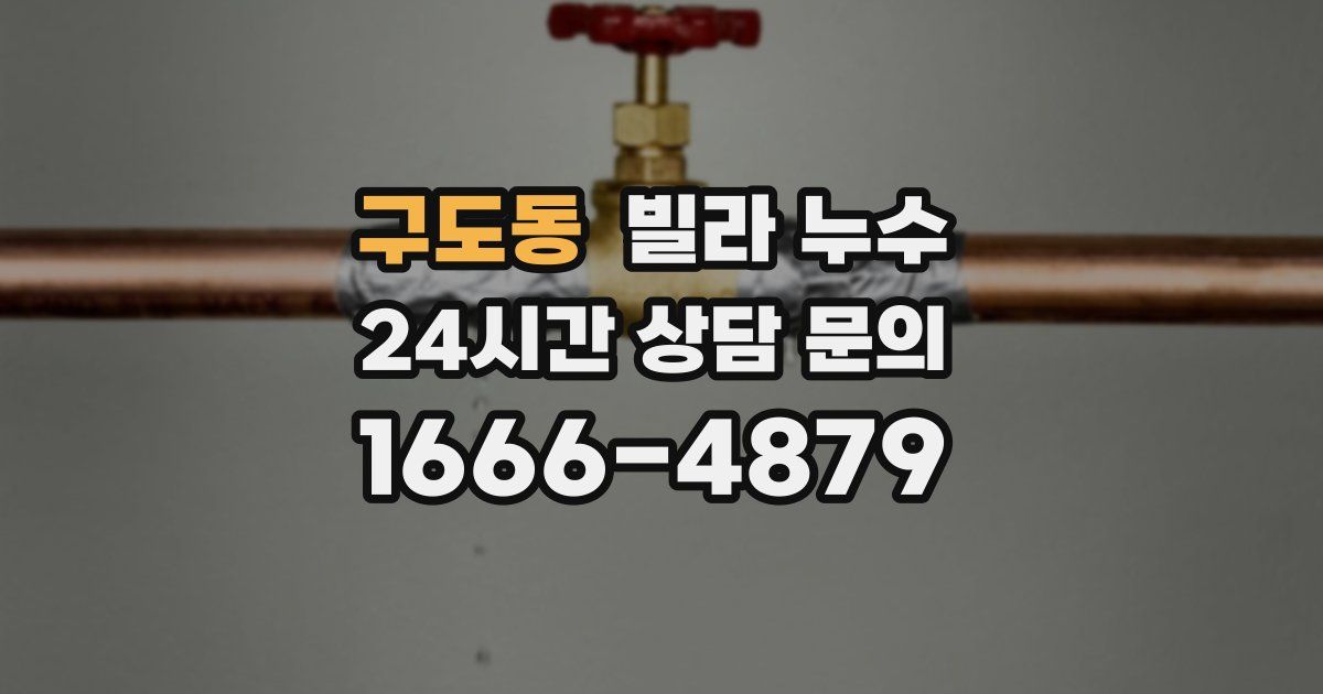 구도동 빌라 누수