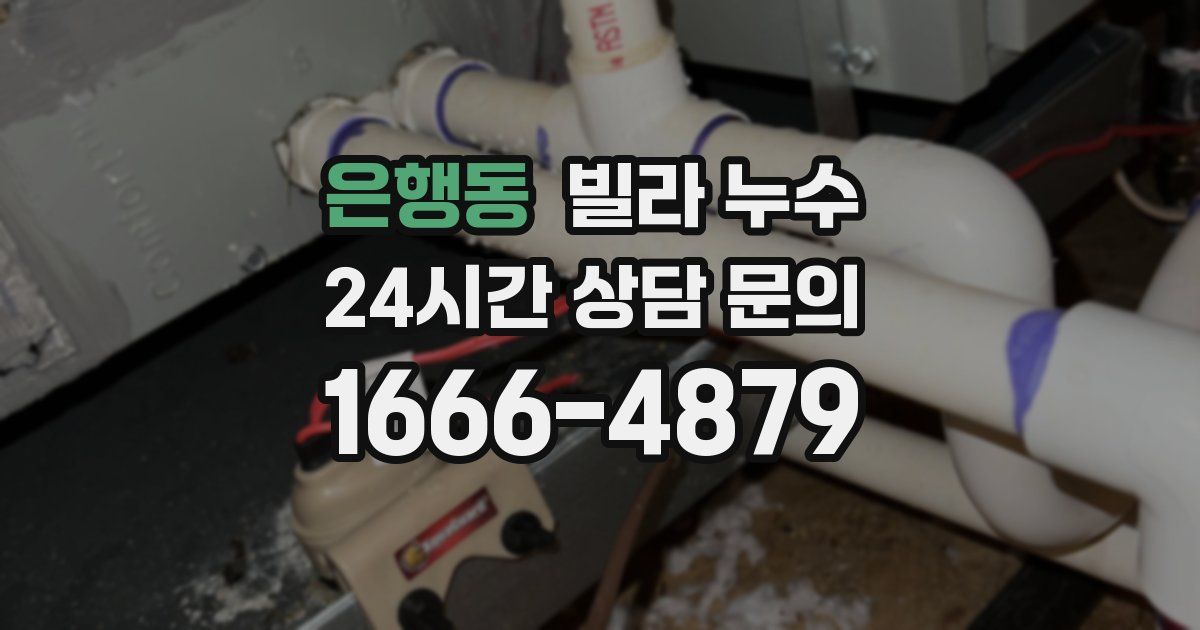 은행동 빌라 누수