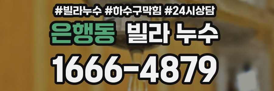 은행동 빌라 누수