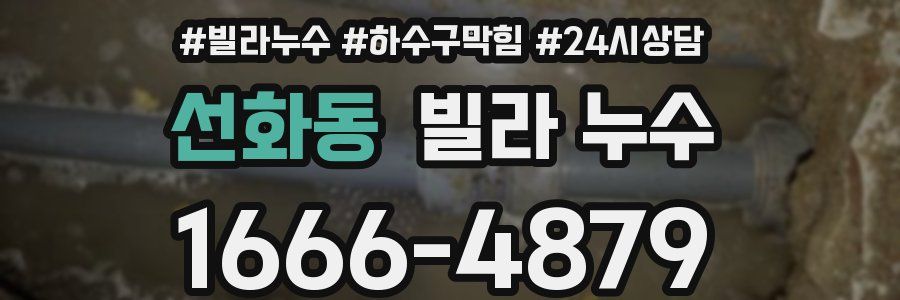 선화동 빌라 누수