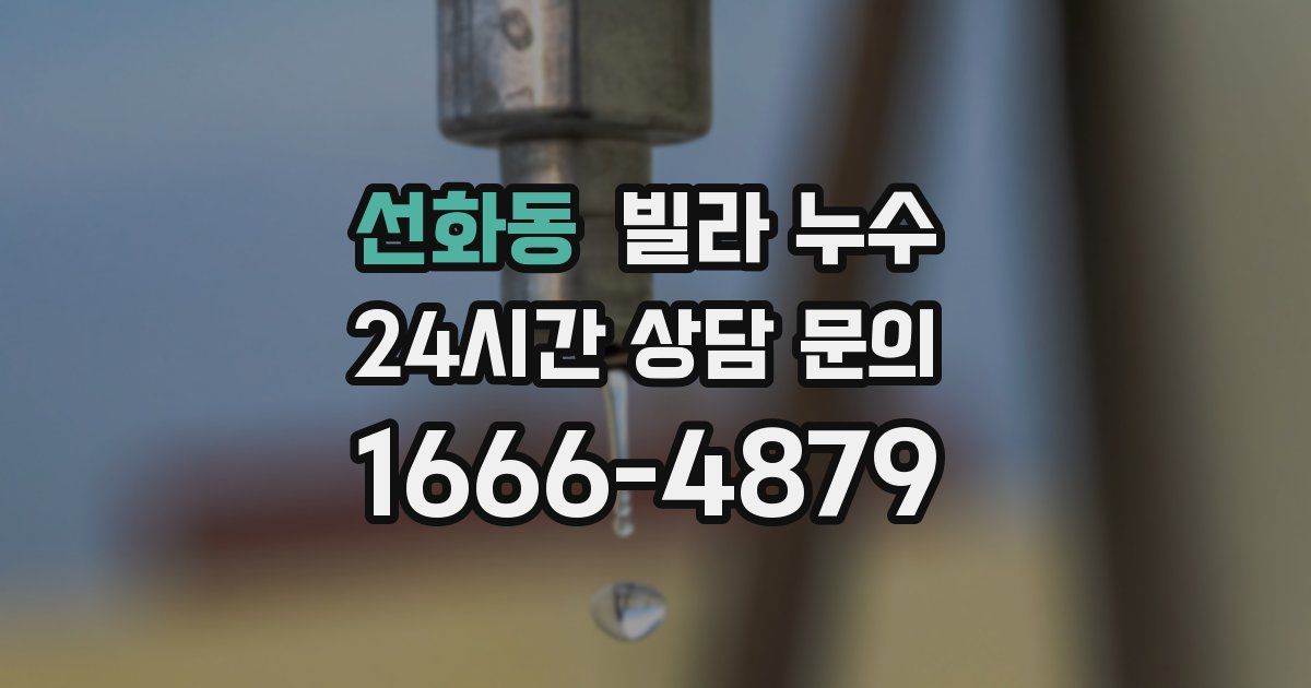 선화동 빌라 누수