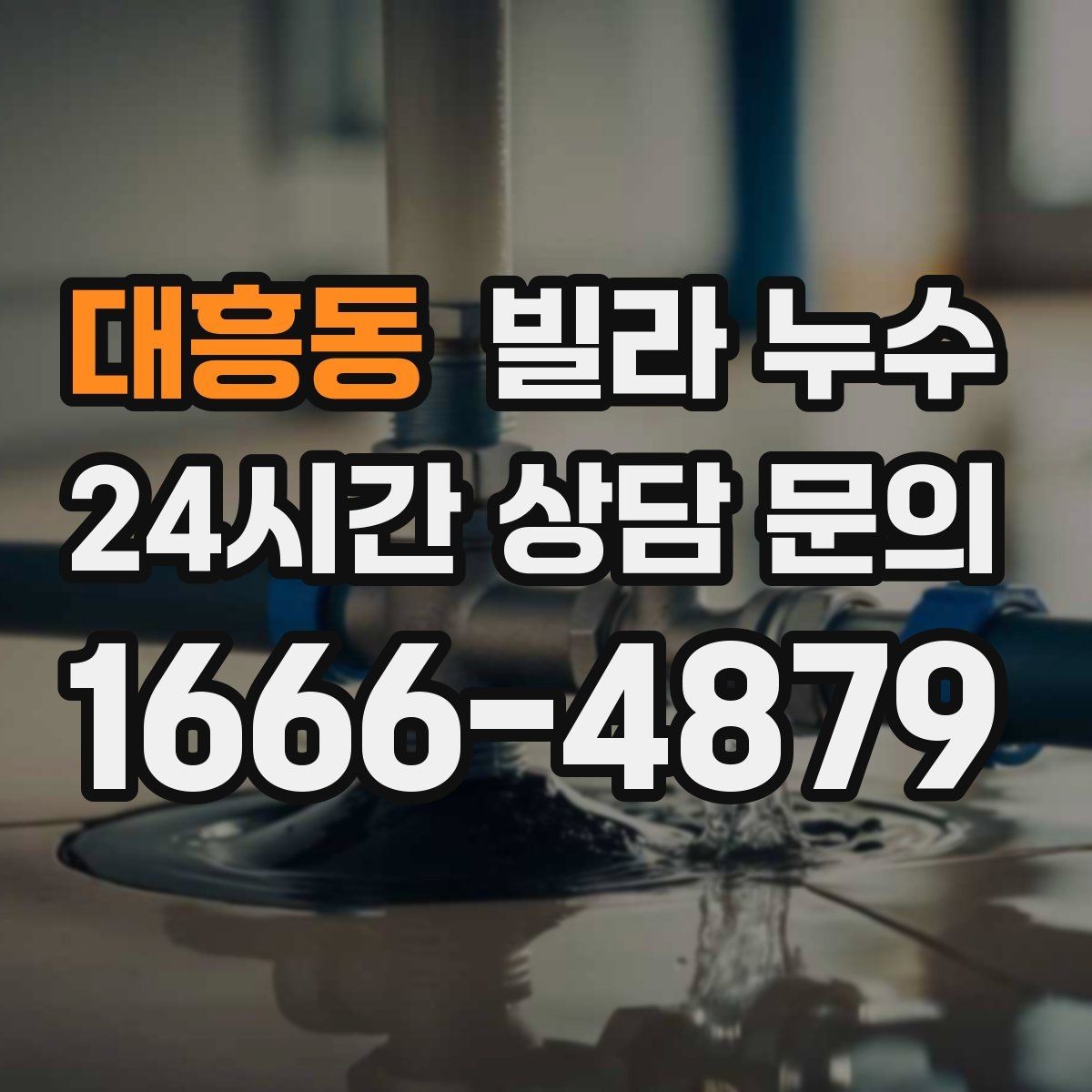 대흥동 빌라 누수 외벽 균열이 의심될 때 확인 포인트