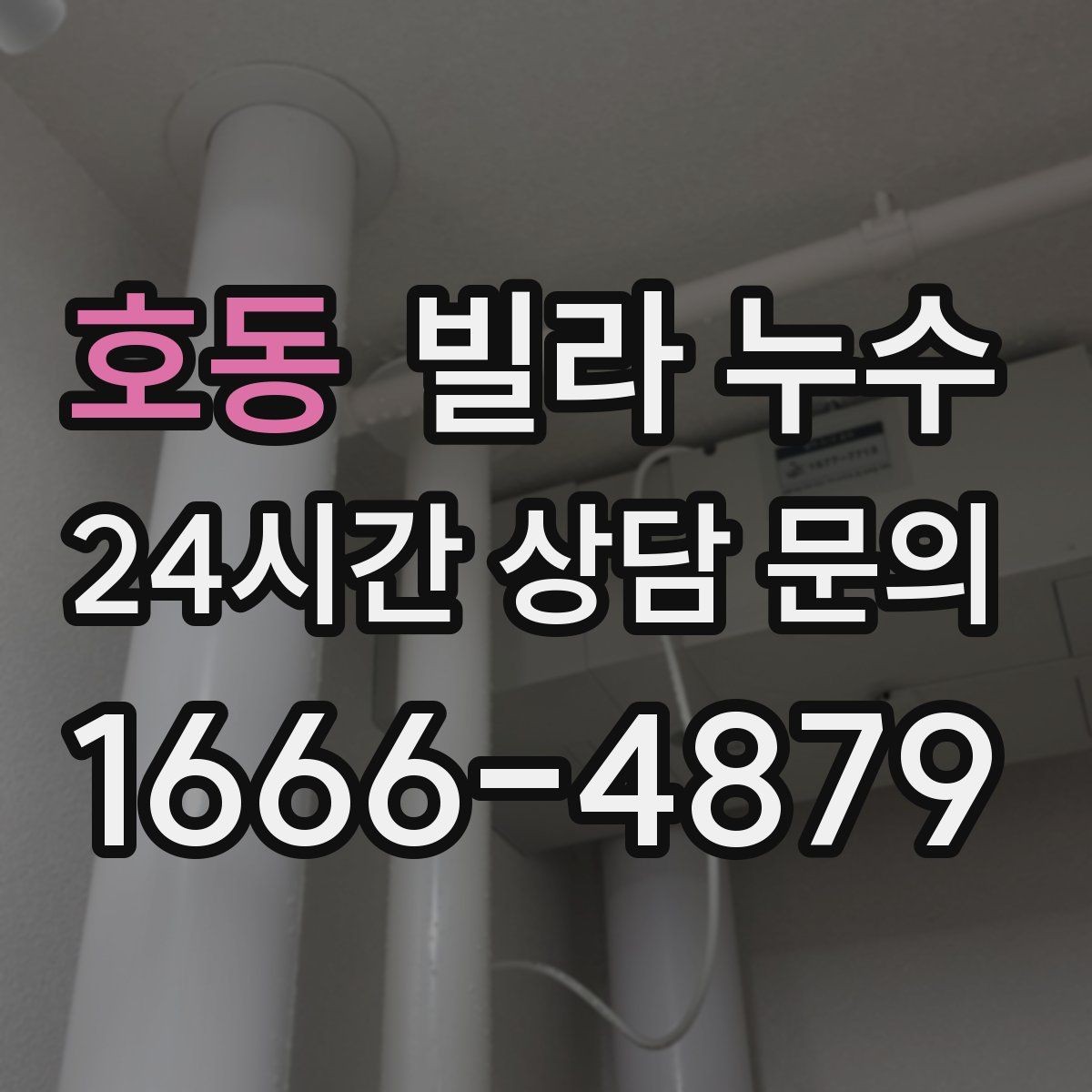 호동 빌라 누수 세탁실 인근 벽이 젖는다면 확인할 것