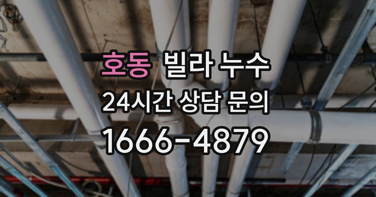 호동 빌라 누수