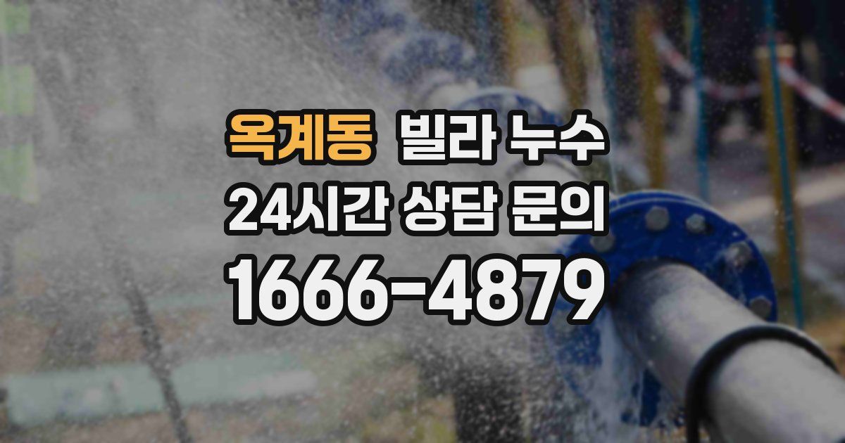 옥계동 빌라 누수