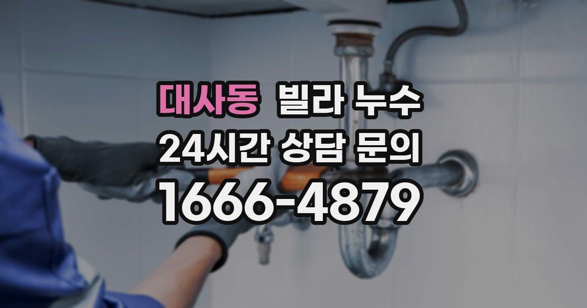대사동 빌라 누수