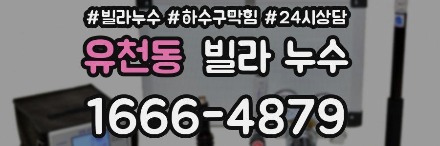 유천동 빌라 누수