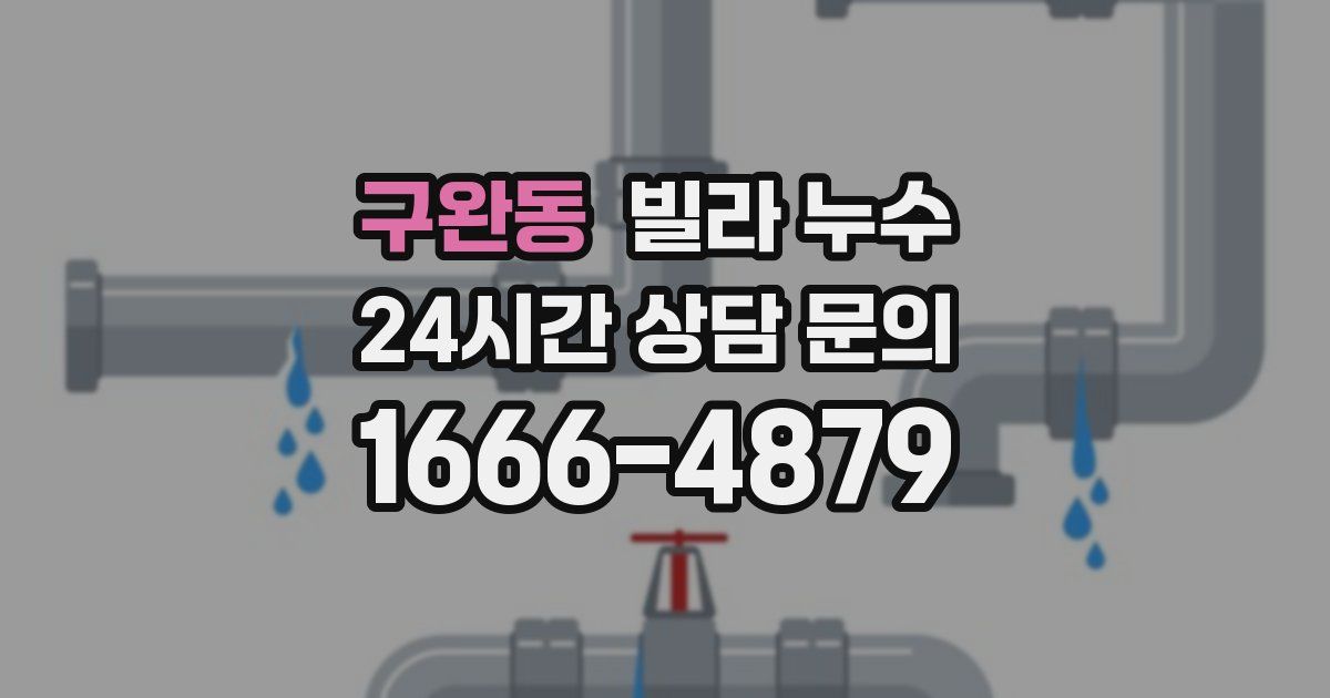 구완동 빌라 누수