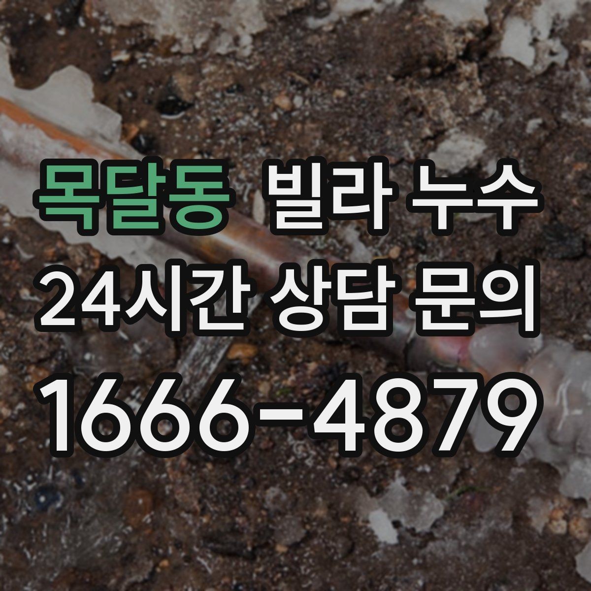 목달동 빌라 누수 변기 주변 실리콘이 들뜨면 생기는 문제
