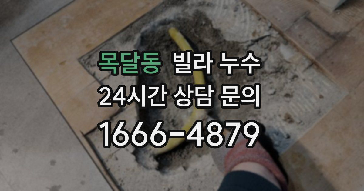 목달동 빌라 누수