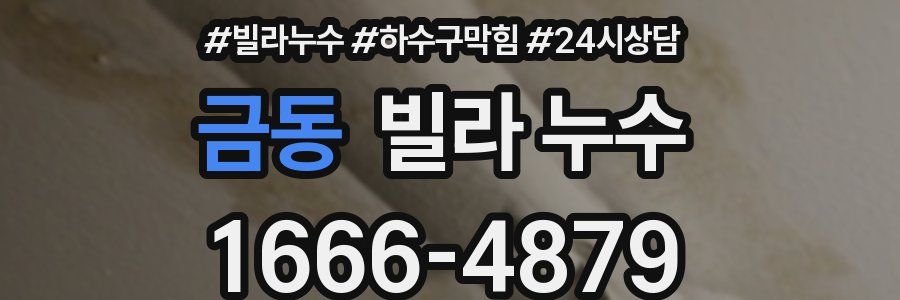 금동 빌라 누수
