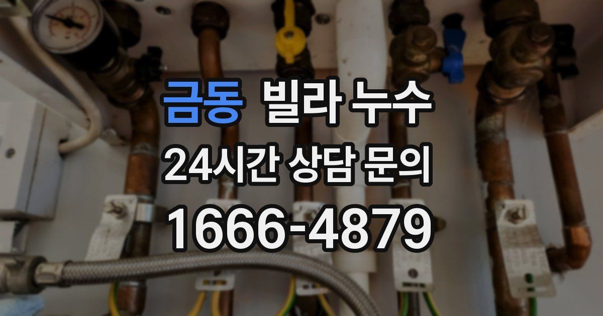 금동 빌라 누수