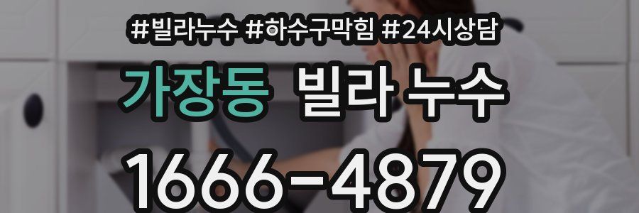 가장동 빌라 누수