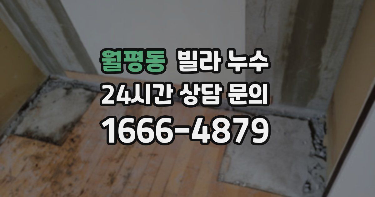 월평동 빌라 누수