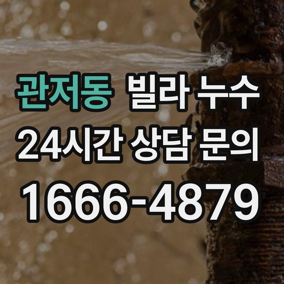 관저동 빌라 누수 세탁기 주변 물고임이 반복된다면