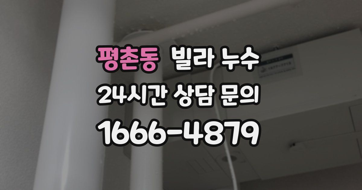 평촌동 빌라 누수