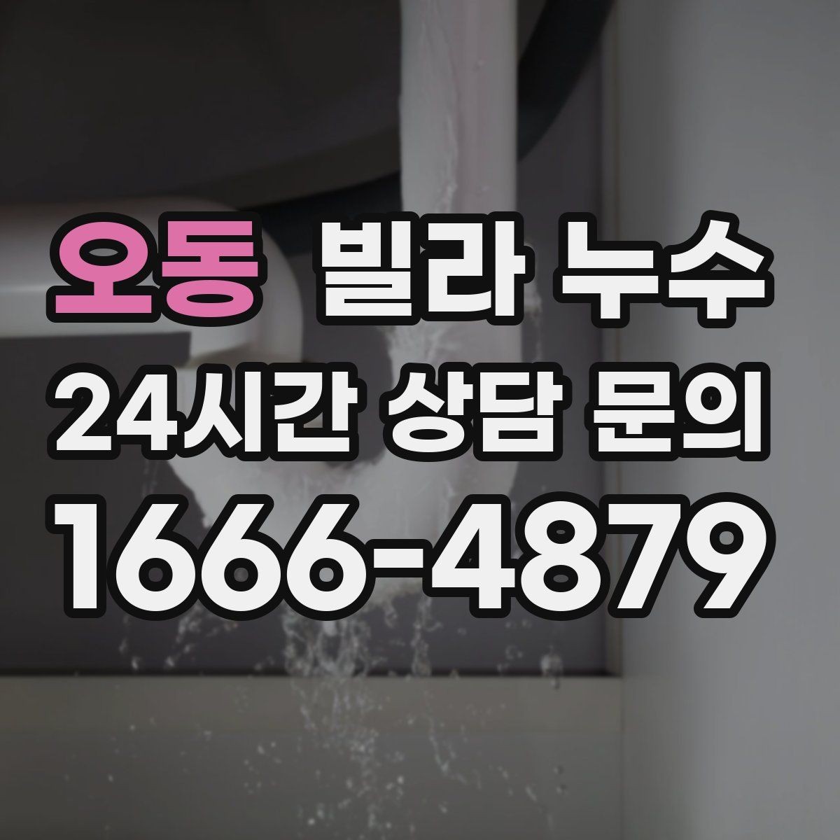 오동 빌라 누수 세탁기 주변 물고임이 반복된다면
