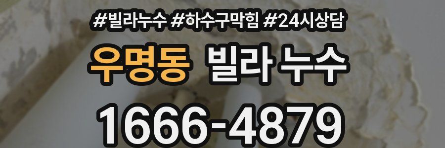 우명동 빌라 누수