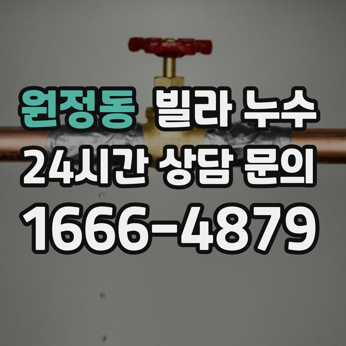 원정동 빌라 누수 섣불리 도배부터 하면 재발할 수 있어요