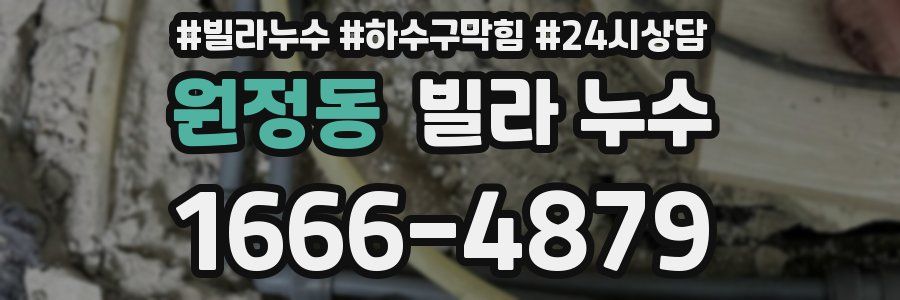 원정동 빌라 누수
