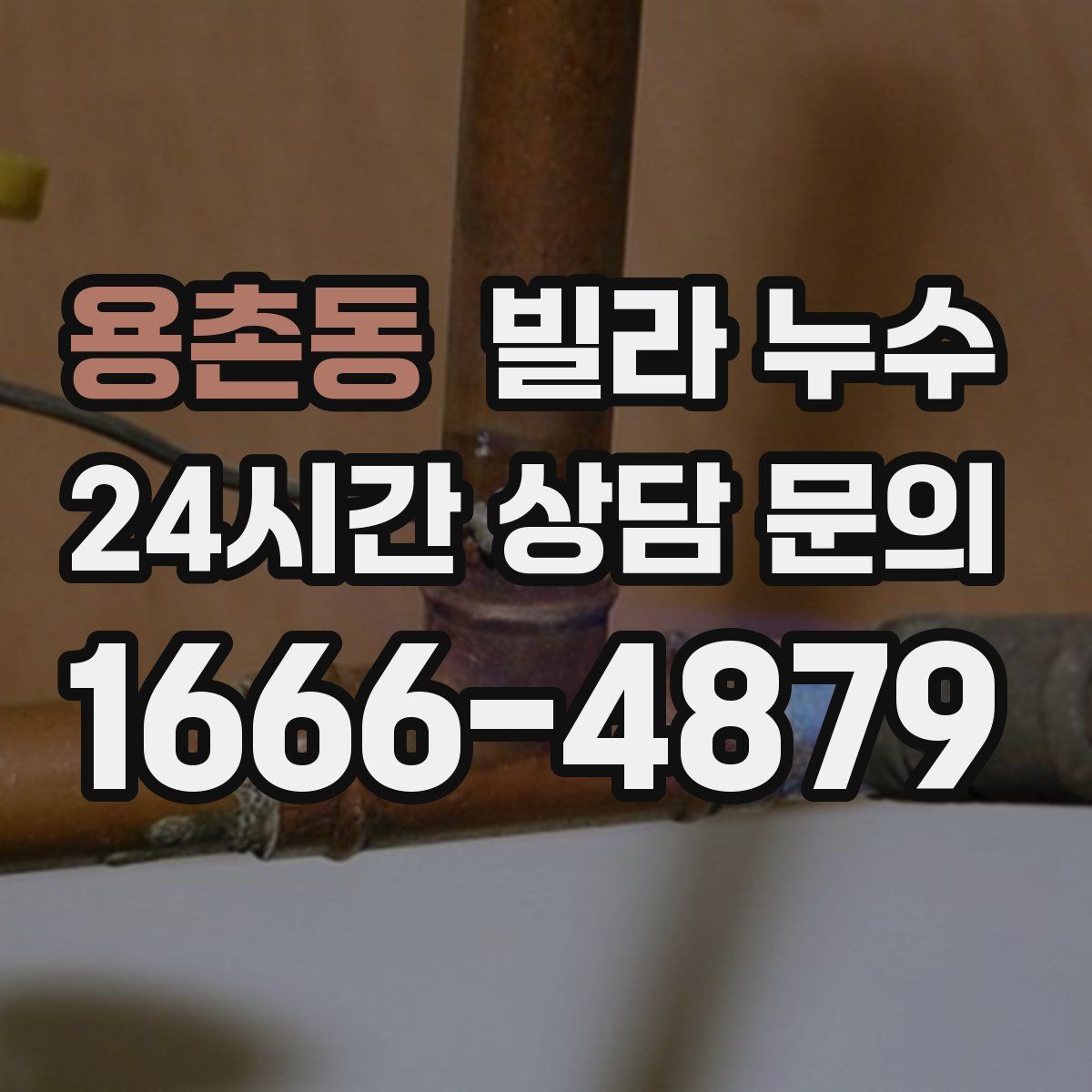 용촌동 빌라 누수