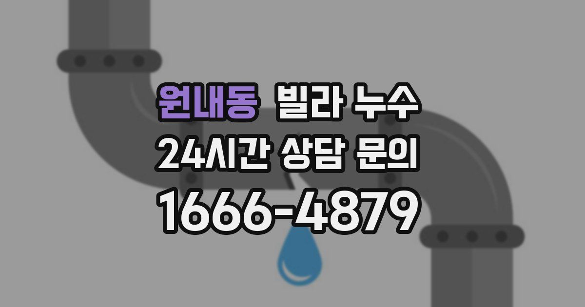 원내동 빌라 누수