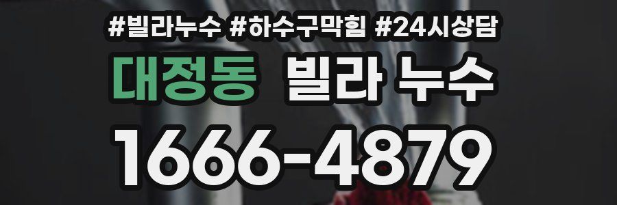 대정동 빌라 누수