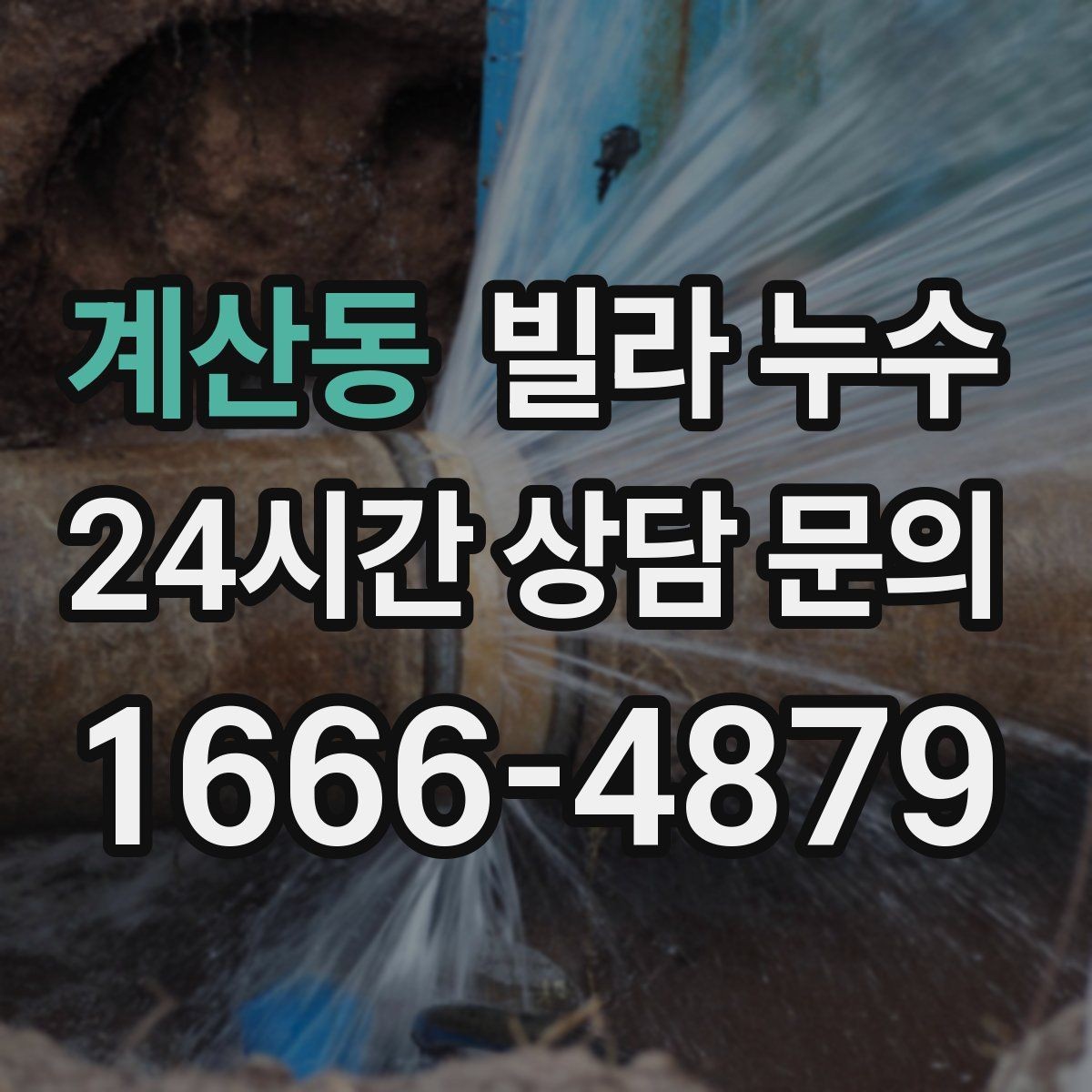 계산동 빌라 누수 가구 뒤 벽이 젖어 곰팡이가 생길 때