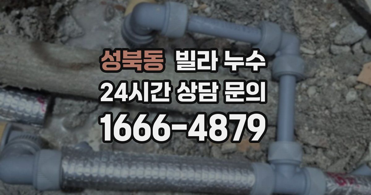 성북동 빌라 누수