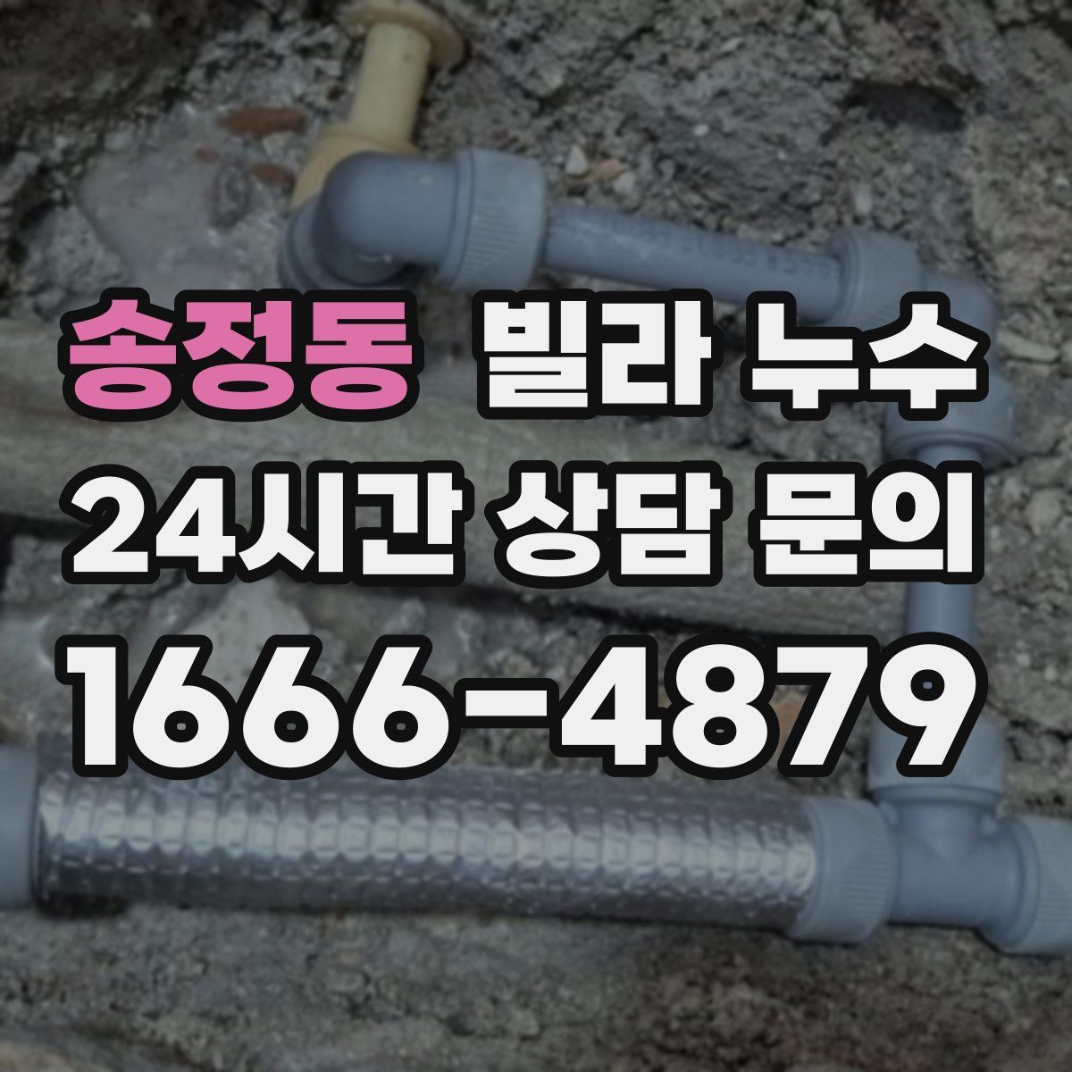 송정동 빌라 누수