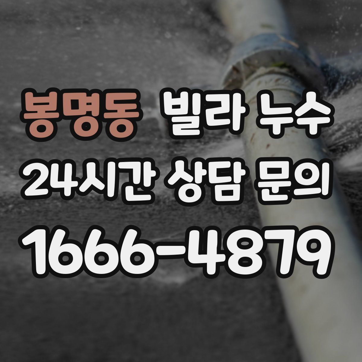 봉명동 빌라 누수