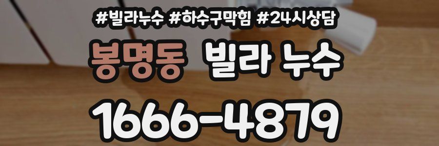 봉명동 빌라 누수