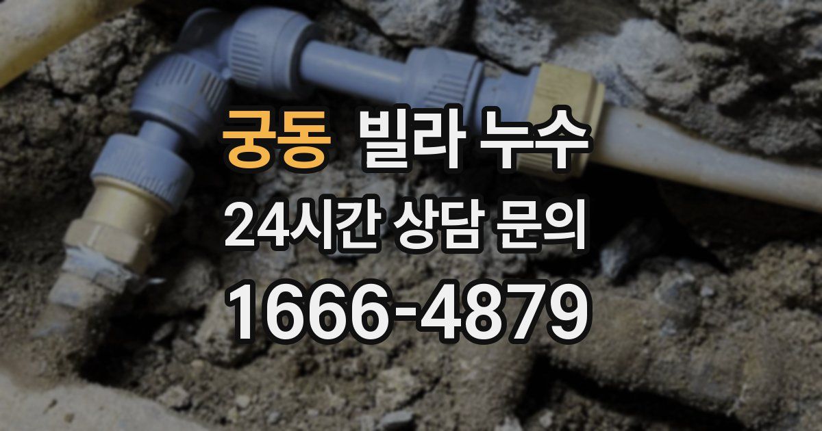 궁동 빌라 누수