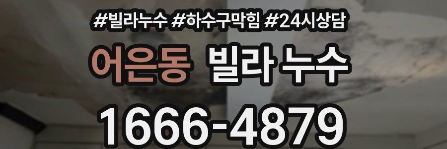 어은동 빌라 누수