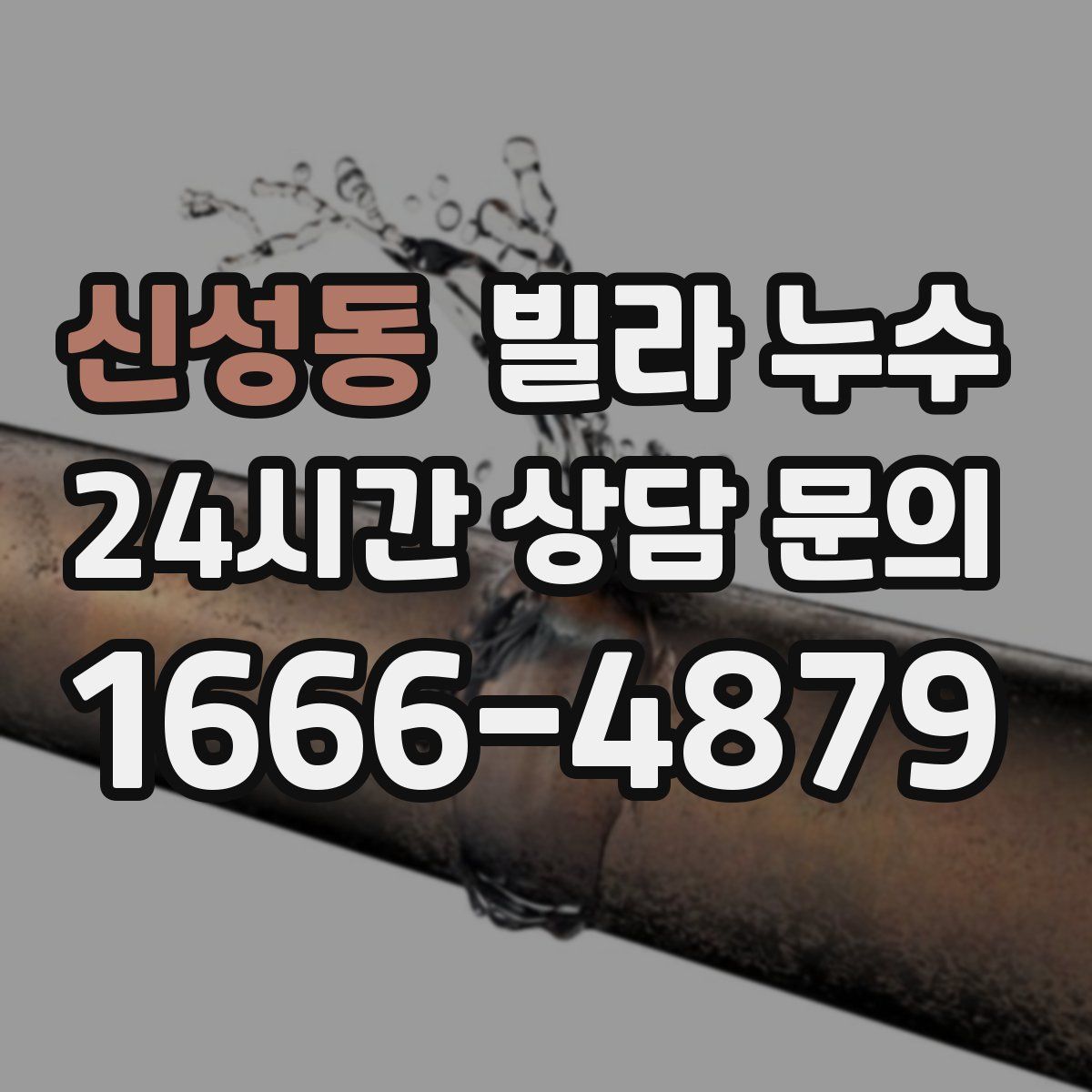 신성동 빌라 누수