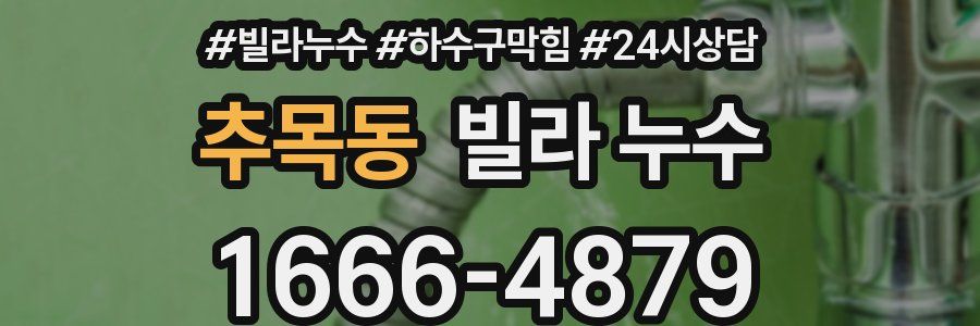 추목동 빌라 누수