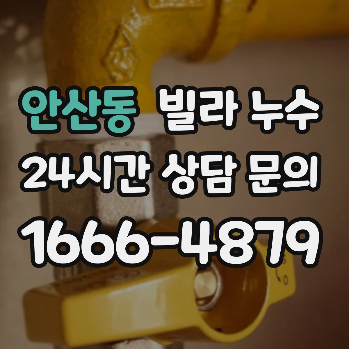 안산동 빌라 누수