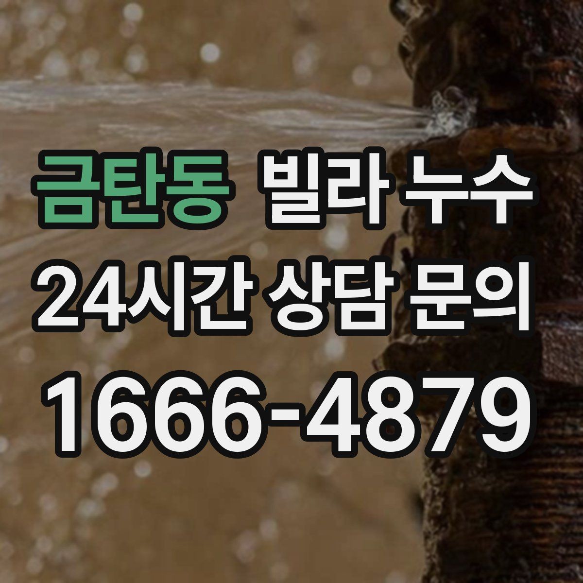 금탄동 빌라 누수 물소리만 들리고 원인은 안 보일 때