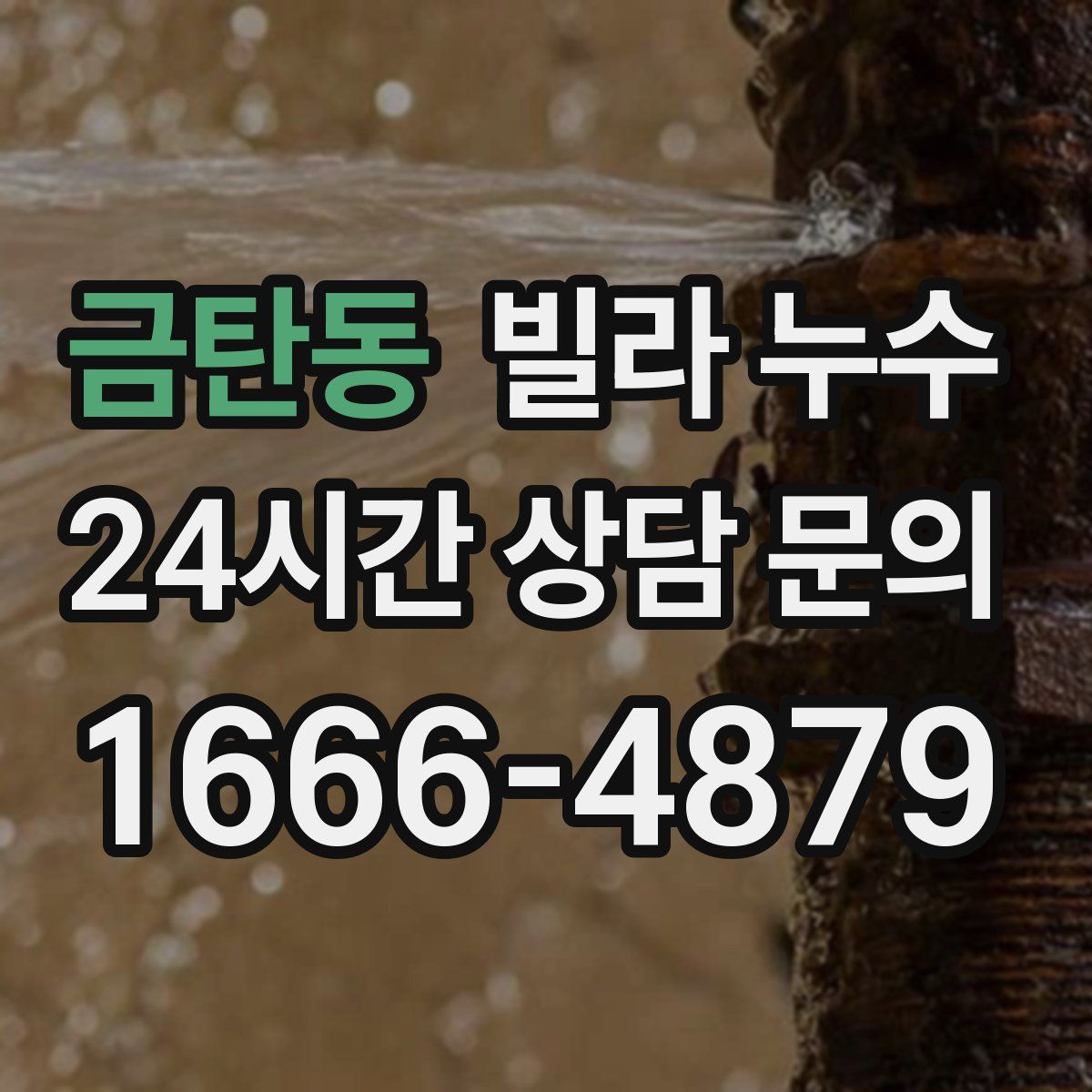 금탄동 빌라 누수