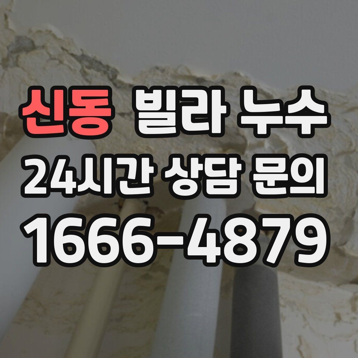 신동 빌라 누수 누수 해결 후 곰팡이가 남지 않게 하는 방법