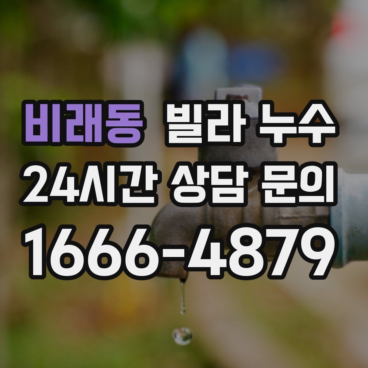 비래동 빌라 누수 천장 얼룩이 동그랗게 번지는 이유 정리