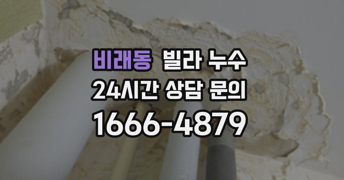 비래동 빌라 누수