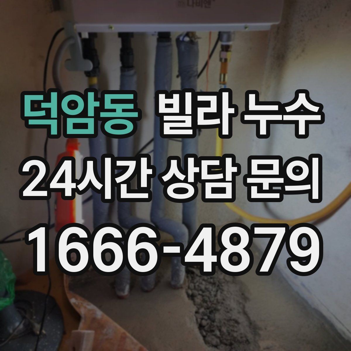 덕암동 빌라 누수 전등 주변이 젖으면 전기 안전도 확인
