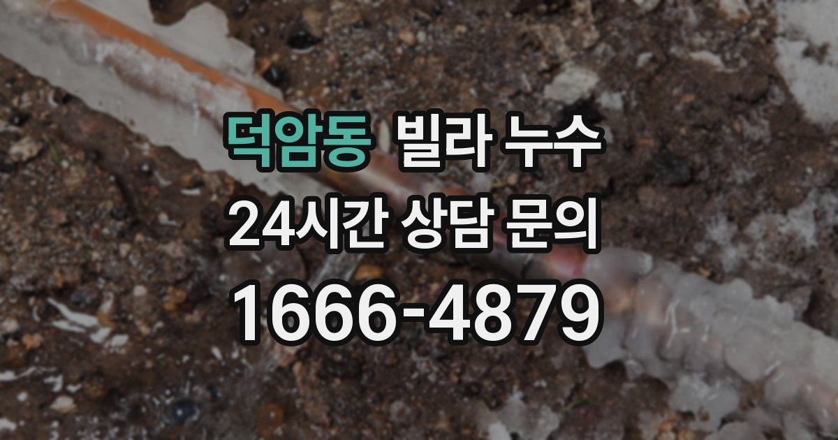 덕암동 빌라 누수