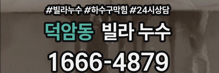 덕암동 빌라 누수