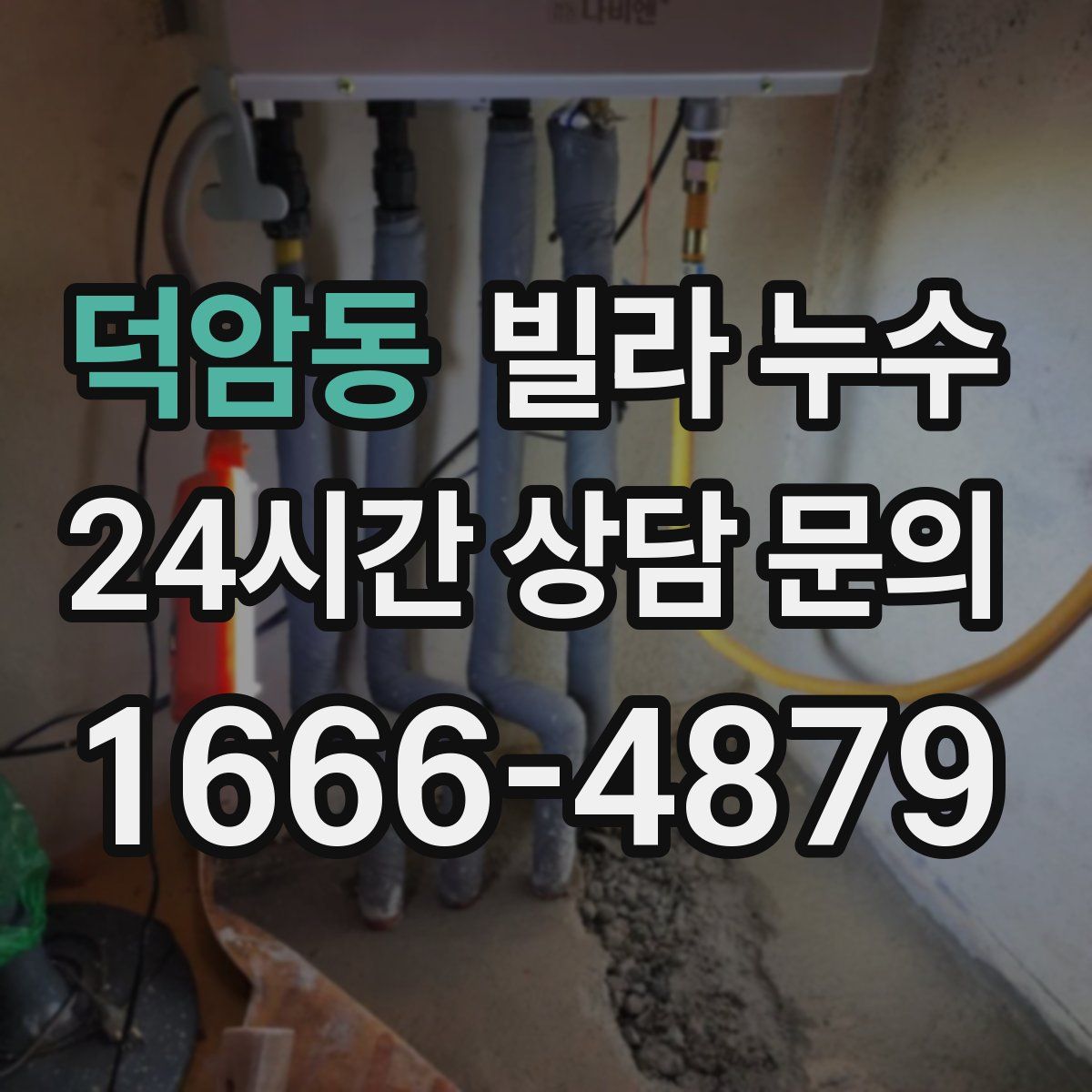 덕암동 빌라 누수