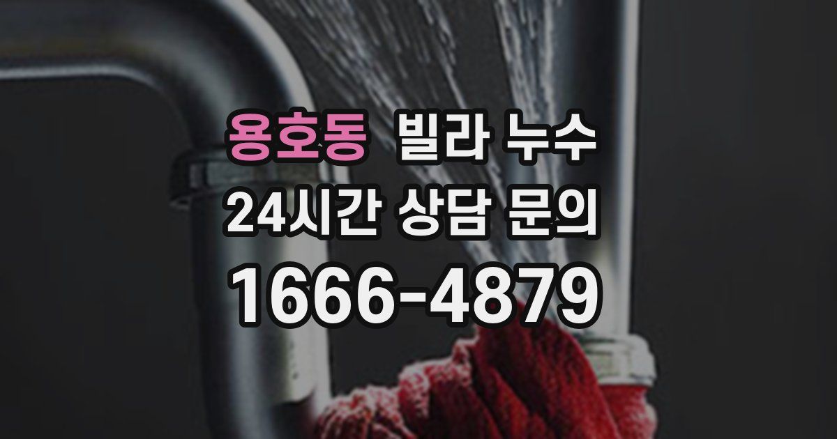 용호동 빌라 누수